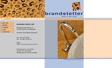 Brandstetter